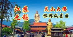 艹b视频日漫江苏无锡灵山大佛旅游风景区